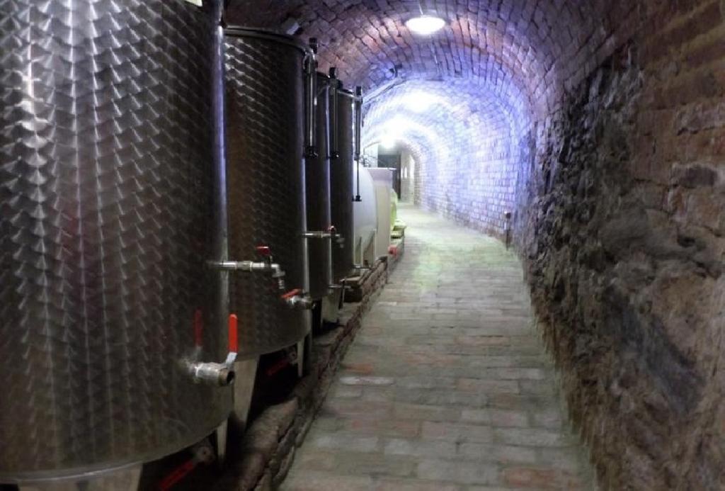 فندق Privat Bohemia Šatov المظهر الخارجي الصورة