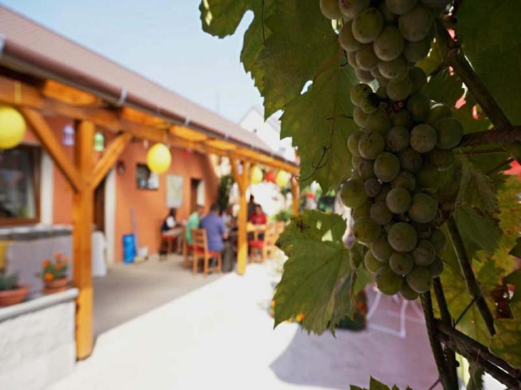 فندق Privat Bohemia Šatov المظهر الخارجي الصورة